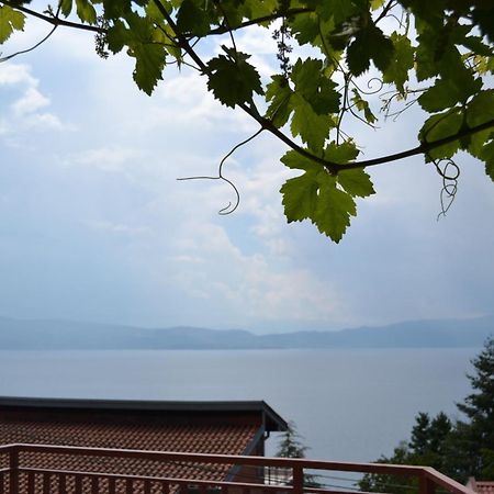 Villa Fania Ohrid Buitenkant foto